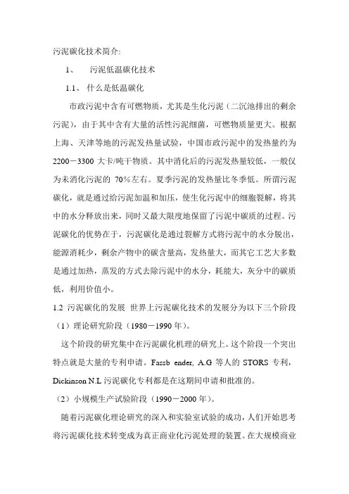 污泥碳化技术简介