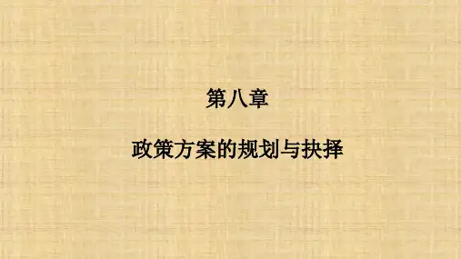 第八章  政策方案的规划与抉择  《公共政策学》PPT课件