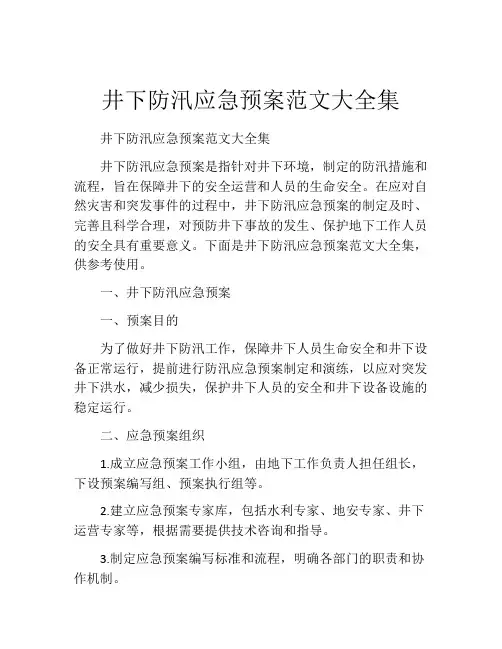 井下防汛应急预案范文大全集