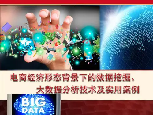 电商经济背景下大数据分析技术及实用案例ppt(87张)