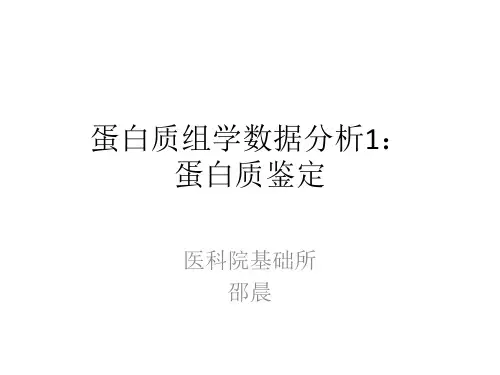 蛋白质组数据分析1-2018