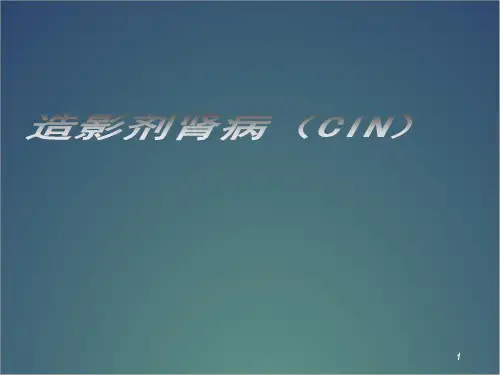 造影剂肾病的诊断及预防PPT幻灯片课件