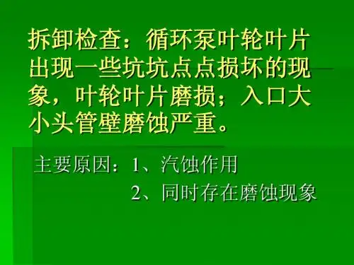 循环泵讲义PPT
