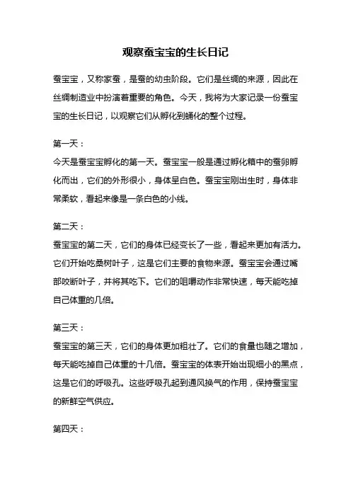 观察蚕宝宝的生长日记