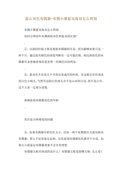 蓝山双色布偶猫-布偶小猫蓝双海双怎么辨别