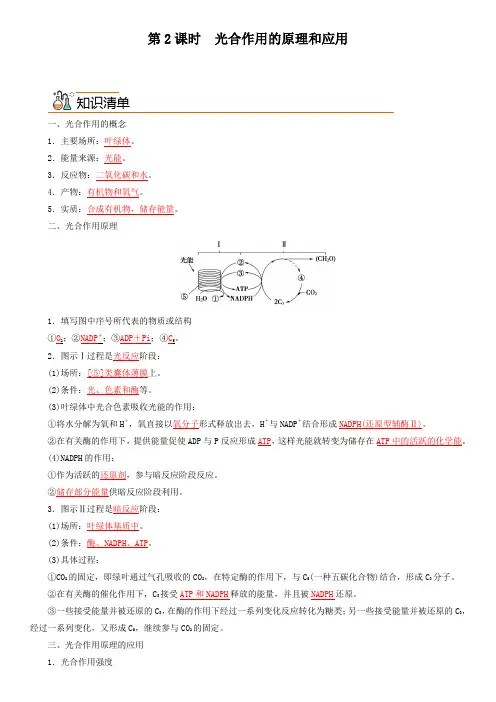 生物人教版高中必修一(2019年新编)5-4-2 光合作用的原理和应用(教案)