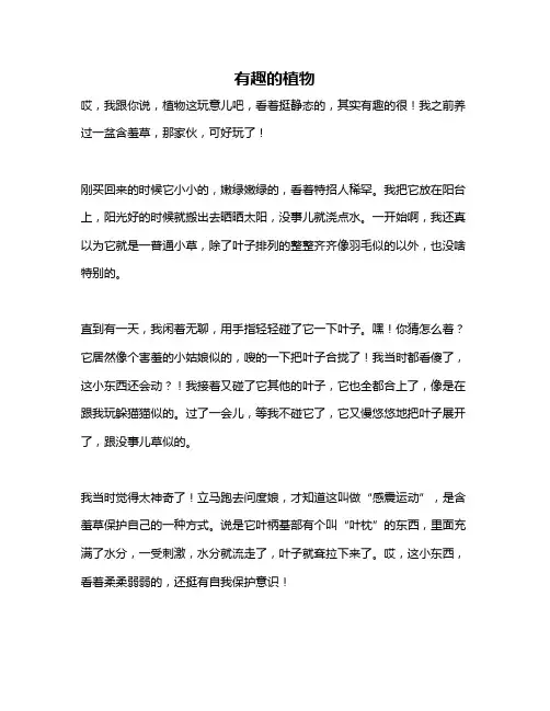 作文《有趣的植物》