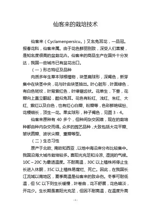 仙客来的栽培技术