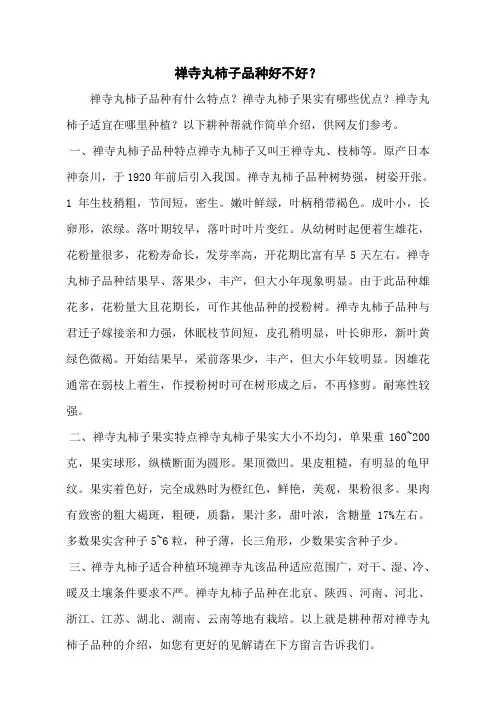 禅寺丸柿子品种好不好？