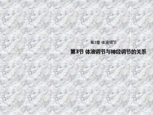 新教材人教版选择性必修一 3.3体液调节与神经调节的关系 课件(32张)
