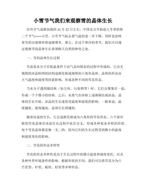 小雪节气我们来观察雪的晶体生长