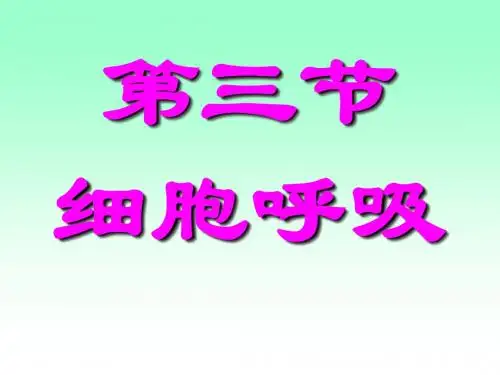 细胞呼吸ppt47 人教课标版