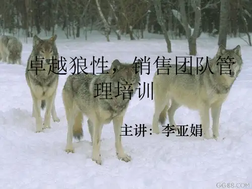 狼性团队PPT