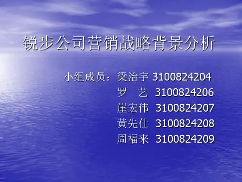 锐步案例分析
