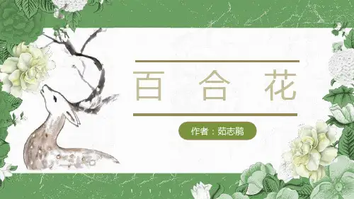 统编版高中语文必修一《百合花》PPT教学课件