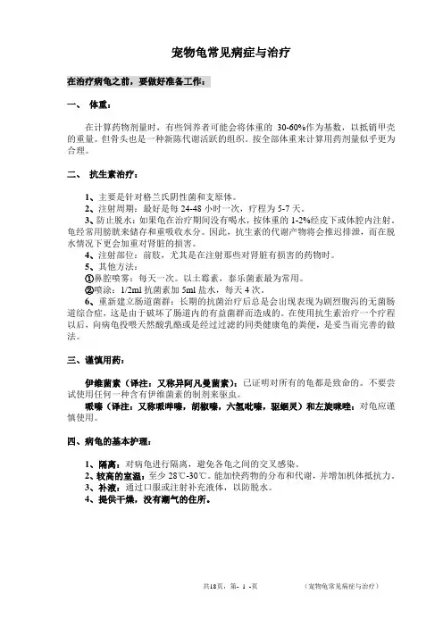 宠物龟常见病症与治疗