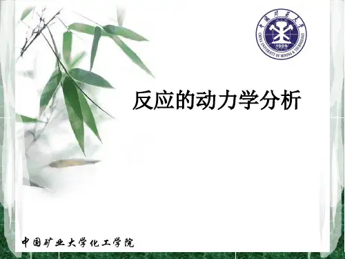 反应动力学分析