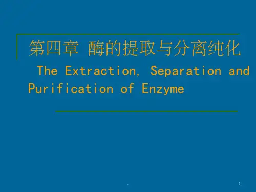酶的提取与分离纯化