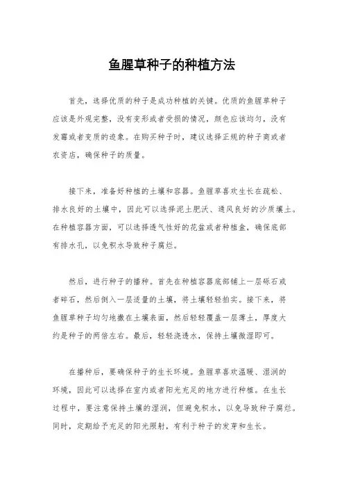 鱼腥草种子的种植方法