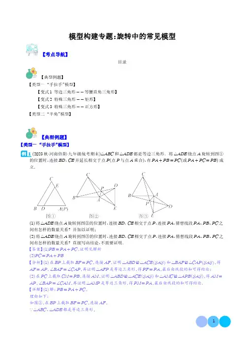 模型构建专题：旋转中的常见模型(解析版)