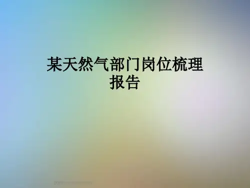 某天然气部门岗位梳理报告