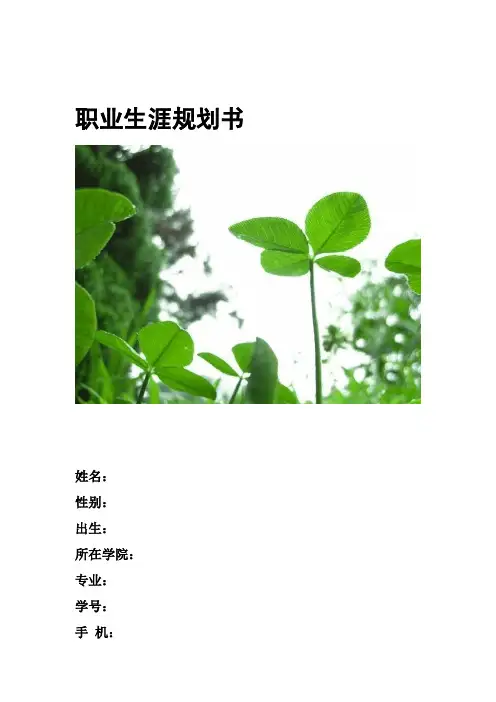 平面设计师职业生涯规划书