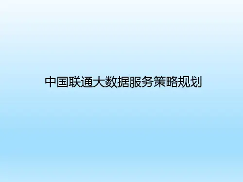 中国联通大数据服务策略规划