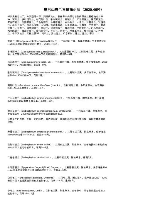 粤东山野兰科植物小结（2020.46种）