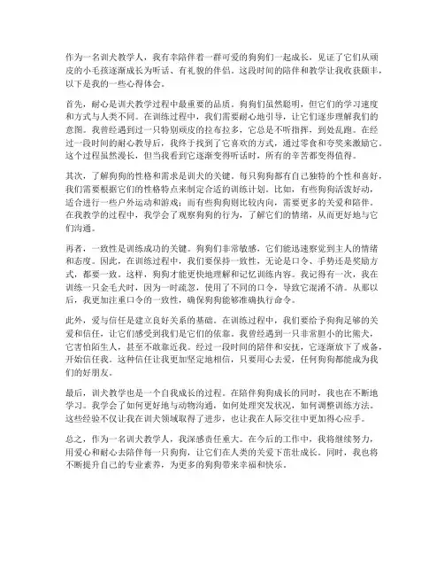 训犬教学人随行心得体会