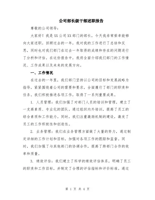 公司部长级干部述职报告