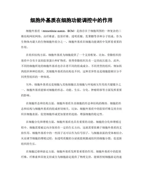细胞外基质在细胞功能调控中的作用