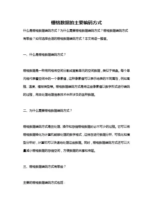 栅格数据的主要编码方式