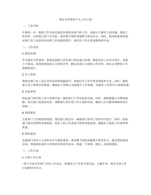 基层分管领导个人工作计划