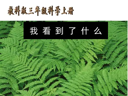 三年级上册科学课件1我看到了什么∣教科版 (共10张PPT)