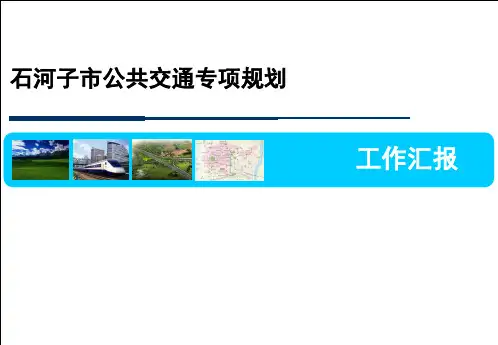 石河子市公共交通专项规划