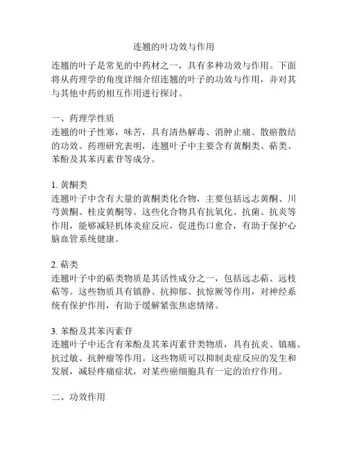 连翘的叶功效与作用