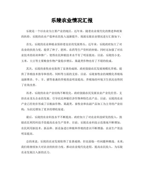 乐陵农业情况汇报