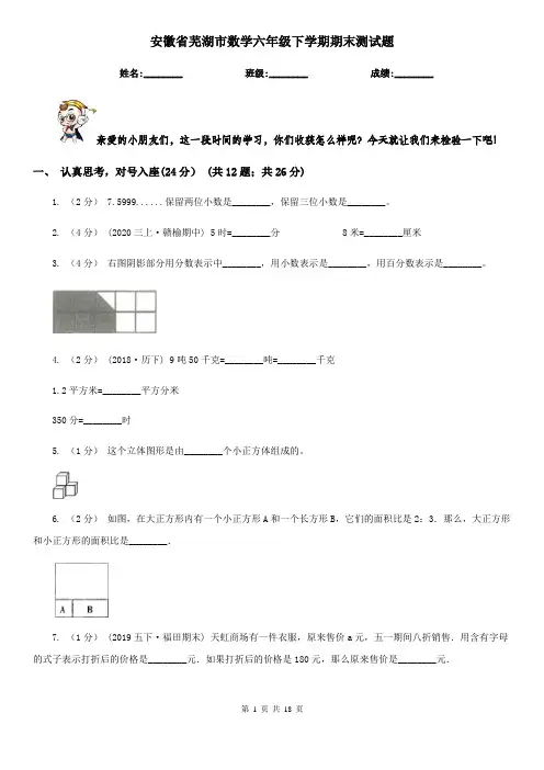 安徽省芜湖市数学六年级下学期期末测试题