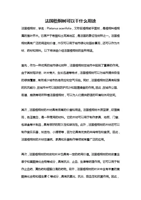 法国梧桐树可以干什么用途