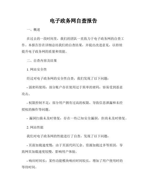 电子政务网自查报告