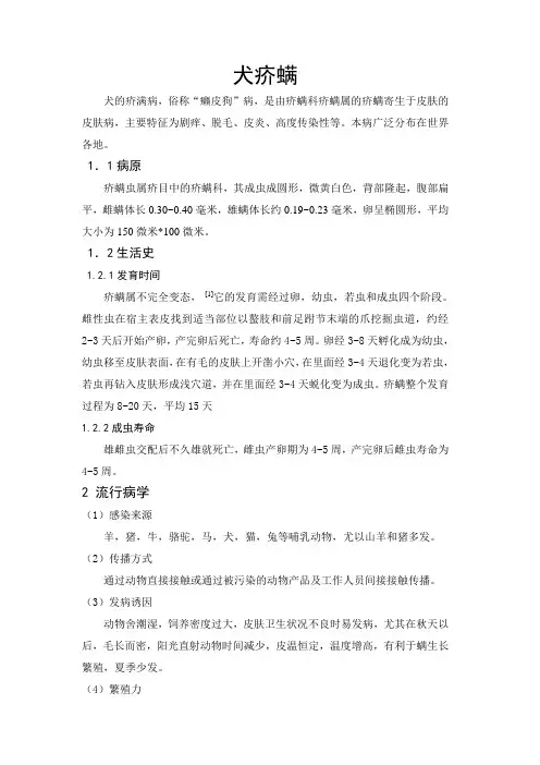 犬疥螨