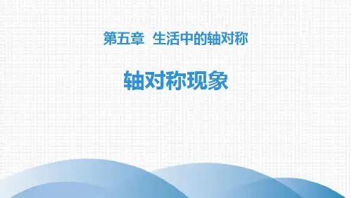 《轴对称现象》生活中的轴对称PPT赏析教学课件