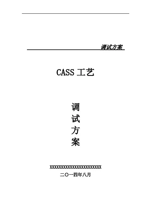 CASS工艺调试方案