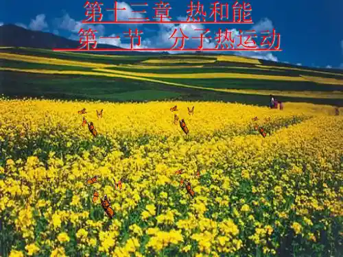 新人教版九年级物理分子热运动ppt课件