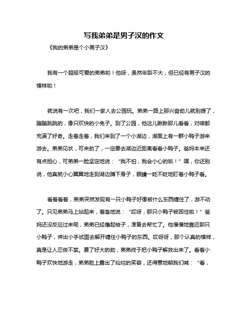 写我弟弟是男子汉的作文