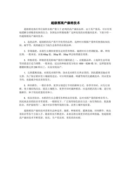 超级稻高产栽培技术