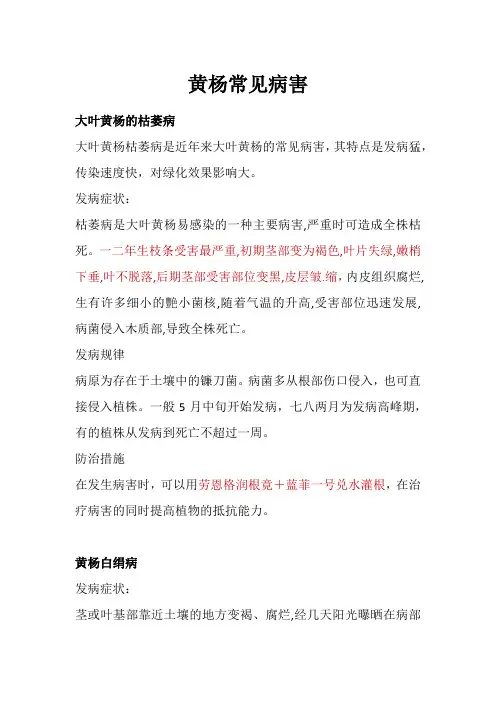 黄杨病害大全