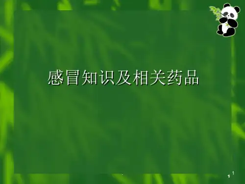 感冒及用药ppt演示课件