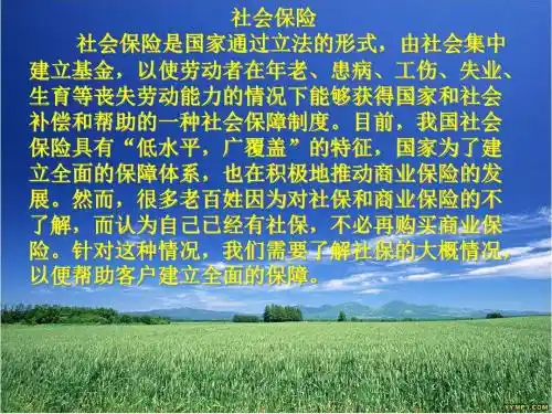 社保知识(吴建堃)