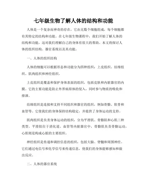 七年级生物了解人体的结构和功能